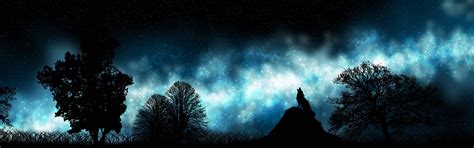 wallpaperaccess.com|1080x3840 wallpapers.